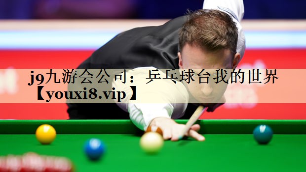 乒乓球台我的世界
